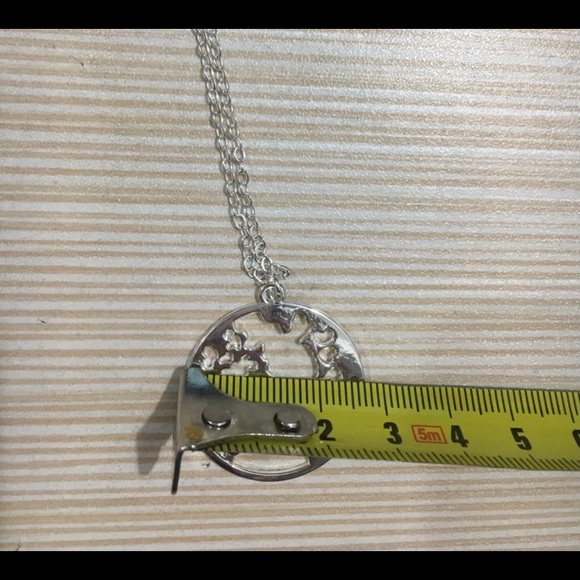 🎉BOGO🎉 Peregrine Necklace - Picture 3 of 5